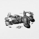 Veslemoy Narvesen - Letting All Light Through