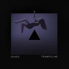 Shaed-Trampoline  Stripped -Single-16BIT-WEB-FLAC-2018-SYMPHONY