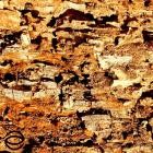 Entropic Advance - Forced Consent