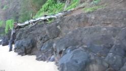 ATKGirlfriends.25.11.17.Compilation.XXX.1080p.MP4-WRB