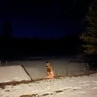 Kara-lis Coverdale - Freedom