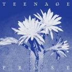 Ghosts & Errors - Teenage Prose