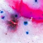 Pfirter - Phase Continuum