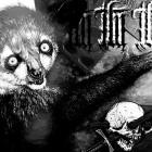 Torn Within - Hero No More