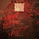 Brine - Softling