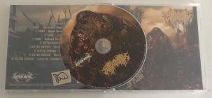 Vault-Bitter Disdain-A Delicacy of Flesh- RM87 -SPLIT-CD-FLAC-2025-86D