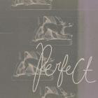 Immaterialize - Perfect