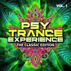 VA - Psy Trance Experience The Classic Edition Vol  1
