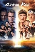 Cobra Kai - Staffel 5