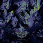 Reviver - The Casualty