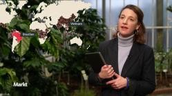 WDR.Markt.2025-02-19.GERMAN.DOKU.HDTV.x264-ConNi