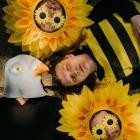 Dexter and The Moonrocks - Birds and the Bees