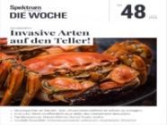 Spektrum Die Woche 48/2025