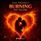 Tss Proyect - Burning So Slow