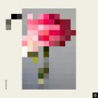 Hot Since 82 - Forever Paper Walls