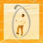 Stevan - The Wave