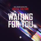 RAM & Richard Durand Pres  Digital Culture - Waiting For You