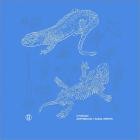 Otodojo - Amphibious  Aural Spirits