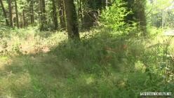 JacquieEtMichelTV.12.08.30.Wooden.Libertine.In.Lannemezan.65.FRENCH.XXX.1080p.MP4-GAPFiLL