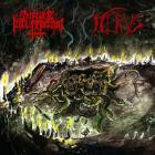 Impure Declaration - Malevolence Evocations