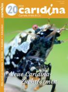 caridina 02/2026