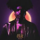 Arc De Soleil - Lumin Rain