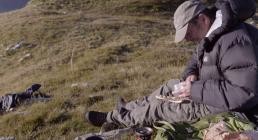 Wolf.Walk.Auf.der.Spur.der.Woelfe.German.2019.AC3.DOKU.BDRiP.x264-SPiRiTBOX