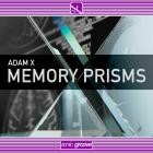 Adam X - Memory Prisms