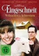 Eingeschneit Weihnachten im Schneesturm
