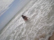 Amateur Pics 1879 - 54 Pics