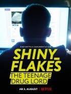 Shiny.Flakes.The.Teenage.Drug.Lord.2021.GERMAN.DOKU.1080p.WEB.x264-EiSBOCK