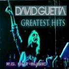 David Guetta - Greatest Hits 2012