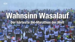 Wasa-Lauf - Der härteste Ski-Marathon der Welt