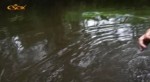 Esox Ausgabe 09 2013 Spinnfischen im Trueben Bach