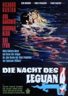 Die Nacht des Leguan