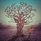 The Brew - Shake The Tree