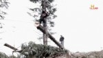Ax Men Die Holzfaeller S06E20 Der letzte Hieb 