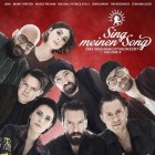 Sing meinen Song - Das Weihnachtskonzert Vol.4