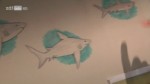 Beast Legends - Wesen des Grauens S01E04 Der Killerhai 