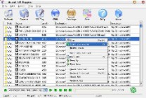 Xrlly Arial Audio Converter v2.4.11
