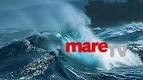 Mare-TV - Die 250´ste Sendung - Das große Jubiläum