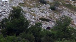 Spaniens wilder Norden E01 Im Reich der Baeren