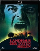 Landhaus der toten Seelen