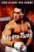 Karate Tiger