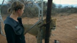 Das Waisenhaus fuer wilde Tiere S03E06