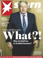 Der Stern 30/2019