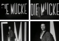 Die Mücke